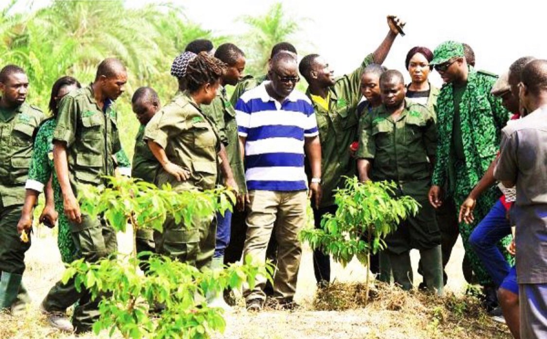 Massive Recruitment: Forestry Commission Additional Recruitment Open